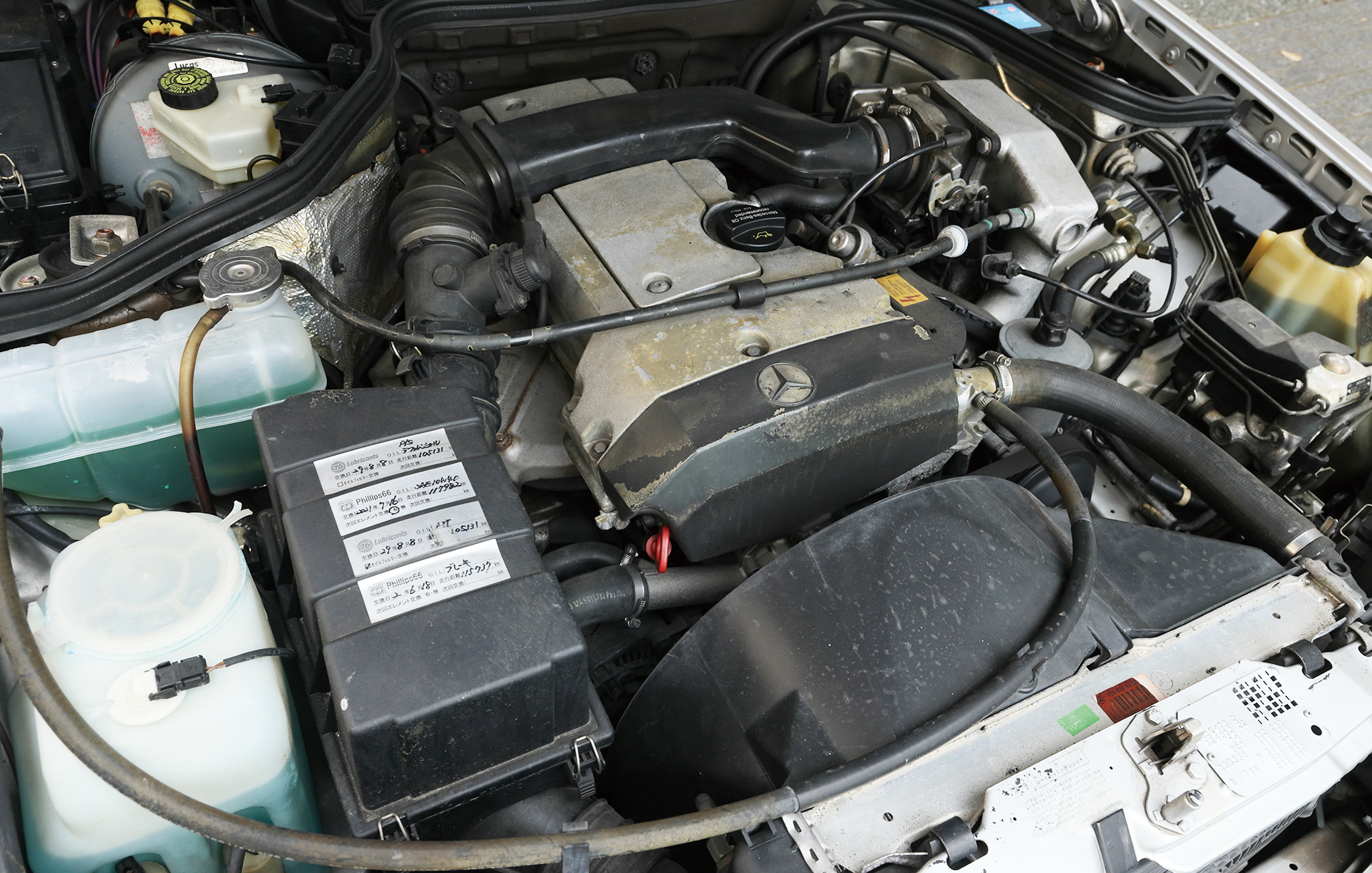 【クラシック＆ヤングクラシックを楽しむ MercedesBenz & BMW】趣味車ライフを充実させるクラシカルでオシャレなワゴン