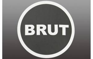 BRUT ステッカー タイプB パーツ画像