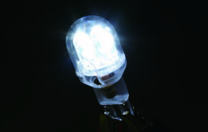 LOUD　LED　LEDミドルバルブ パーツ画像