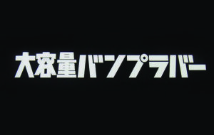 大容量バンプラバー ステッカー パーツ画像