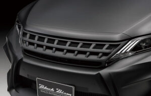 WALD SPORTS LINE BLACK BISON EDITION フロントグリル パーツ画像