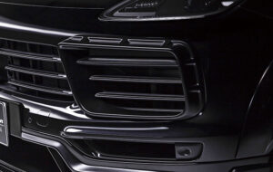 WALD SPORTS LINE BLACK BISON EDITION ダクトカバー パーツ画像