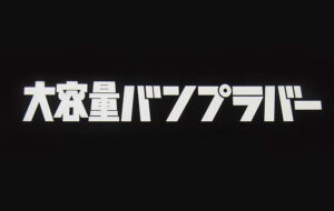 大容量バンプラバー ステッカー パーツ画像
