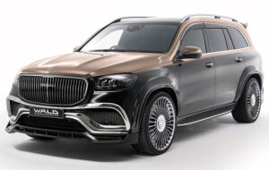 WALD SPORTS LINE BEE 2～5点キット パーツ画像