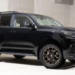 【weds】MUD VANCEの新作は繊細さの中に大胆さを感じる