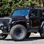 【リンエイ】プロが創りあげた至高のJL