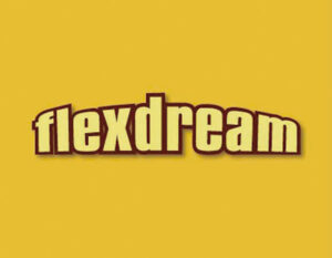 ハイエース専門店 フレックス・ドリーム flexdream店舗画像